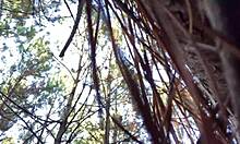 Nestys mouth and aishas pussy stuffed