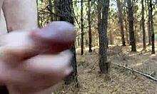 Nestys mouth and aishas pussy stuffed