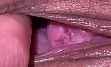 Jerking off to sexy babe's holes at night