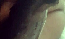 jill wettmout sloppy blowjob close up on monster cock