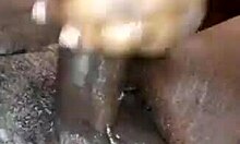 Big Black Dick Cumshot in Bedroom