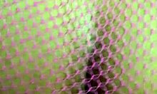 Watch that greedy pussy with the anal plug