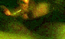 Watch My Latina Girlfriend Give An Amazing Blowjob!