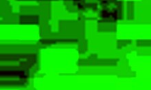 Watch My Latina Girlfriend Give An Amazing Blowjob!