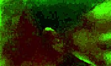 Amateur Couple Enjoys Backshots And Creamy Cumload