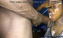 Chocolate Chubby Craves Sucking Monster Cock Amid Neighbor Moans