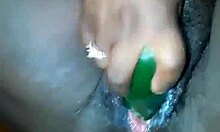 Imagine Fucking This Pregnant Ebony Bbw's Pussy With A Big Cucumber