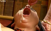 lexi ward deepthroats professors in threesome