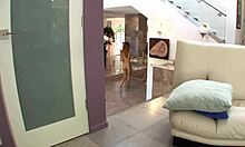 two girlfriends share a quick lesbian encounter with kissing and anal play