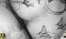 ex girlfriend visits for dick cumming