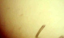 Mexican Latina Pornstar Mayte Sexxx Delivers Intense Anal Assfucking on Webcam with Big Ass Tattoos