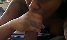 Sucking big black dick real good in every position