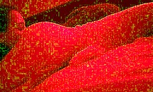 Step Sister Hotly Licks Step Brother's Ass in Delicious Rimming