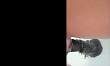 My shaved latina pussy enjoys a nice dildo