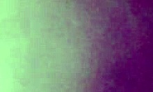 The wet pussy and asshole get played with in doggystyle.