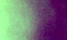 The wet pussy and asshole get played with in doggystyle.