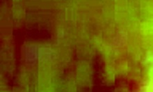 I Woke Up Horny In The Middle Of The Night