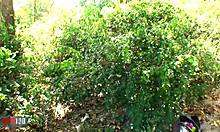 intense cumshot explodes on her huge tits