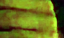 I Woke Up Horny In The Middle Of The Night