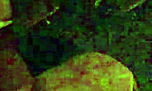 I Woke Up Horny In The Middle Of The Night