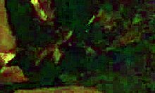 I Woke Up Horny In The Middle Of The Night