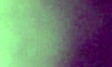 The wet pussy and asshole get played with in doggystyle.