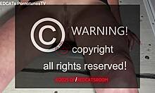 mature slut gets creampied by gloryhole client for shared orgasm