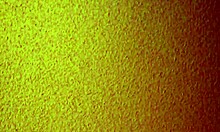 Asian Hooker Mature Cheap