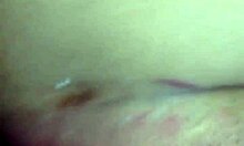 Amateur Escort Service