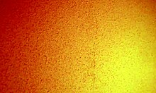 Asian Hooker Mature Cheap