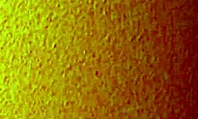 Asian Hooker Mature Cheap