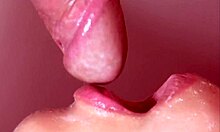 japanese homestay blowjob with big cock close-up