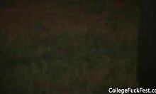 college girls next door get fucked hard in mega orgy