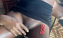 Chatting with Old Colleagues