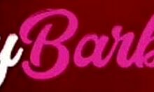 Did I enjoy the party in Rio with sex in the bathroom until I gave my ass?