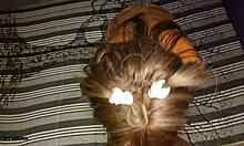 milf tricked into anal at night