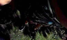 Cheating wife sucks in the park, gets fingered publicly, and creampied in the motel.