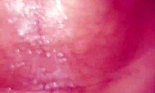 Latina girlfriend makes me cum in the bathroom with a blowjob