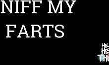 Kadın Kölesini Kıllı Amını Yalatıyor ve Yellenmesini Koklatıyor Çıplak Hakimiyetinde