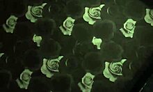 Did you see that amateur leak from earlier?