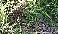 I invited him to the woods for some wild sex