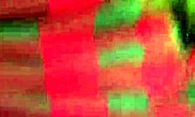 I invited him to the woods for some wild sex