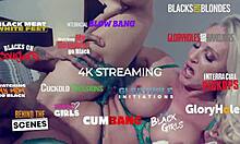 i surprised my gf with 2 big dicks for her to fuck while i watch as cuckold