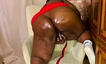 What Is Nigarchrist Update 1385 Petal June 11 2025?