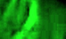 Amateur Couple's Second Tape With Swallow