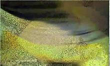 गॉर्जियस ब्रूनेट लाइव वेबकैम पर टॉय से जोर से मॉनिंग, बहुत अच्छा लग रहा है