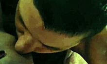 driftwood & barefoot kontessa down south