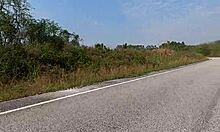 My Thrilling First Raw Fuck In Thailand