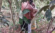 두꺼운 엉덩이 년, 남친이랑 덤불에서 박아!