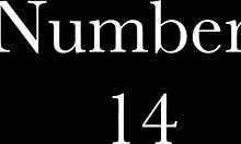 Discovering vintage amateurs with hairy beavers